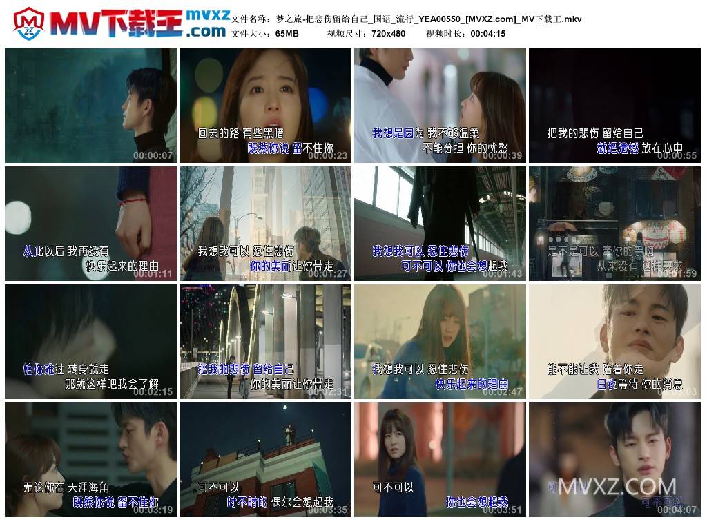 梦之旅-把悲伤留给自己_国语_流行_YEA00550